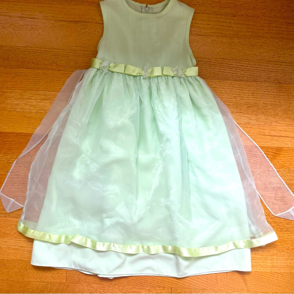 Rare Editions Pale Green Special Occassion Dress - 5T